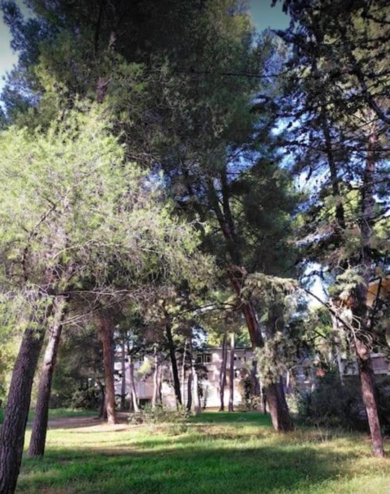Studio Marseille Calanques Exterior photo