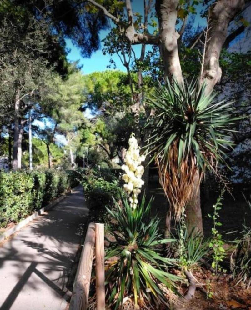Studio Marseille Calanques Exterior photo